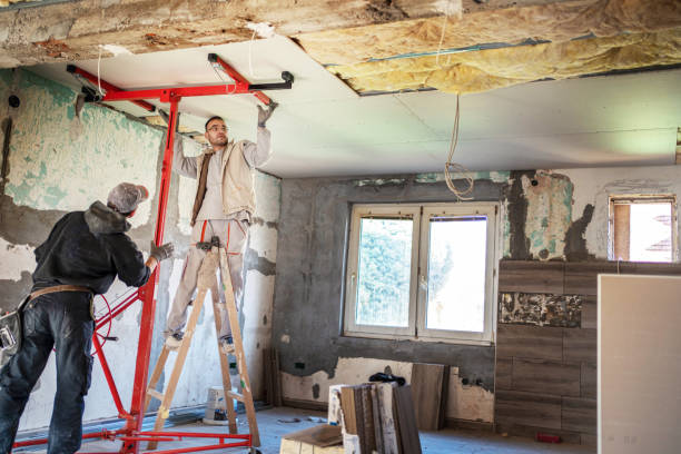 Best Commercial Insulation in Florissant, MO