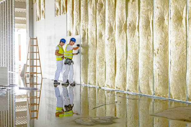 Best Insulation for Specific Applications in Florissant, MO